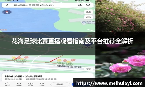 花海足球比赛直播观看指南及平台推荐全解析