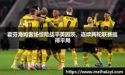 霍芬海姆客场惊险战平美因茨，连续两轮联赛揽得平局